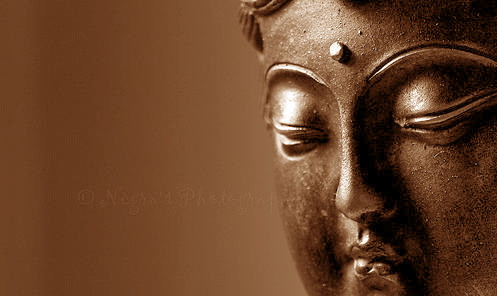buddha3.jpg