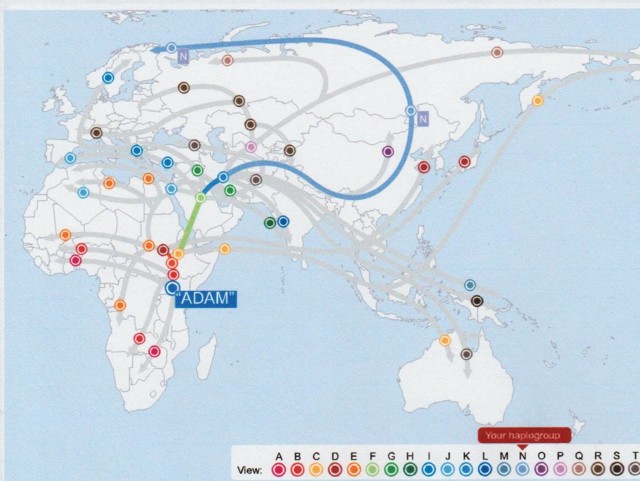 dna%20001.jpg