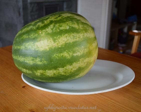 Meloni1.jpg