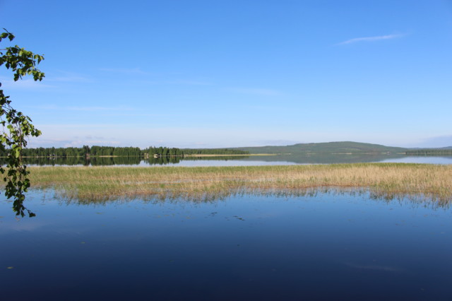 2017.6.25.%20Juhannus%20Kumpulassa%20%28