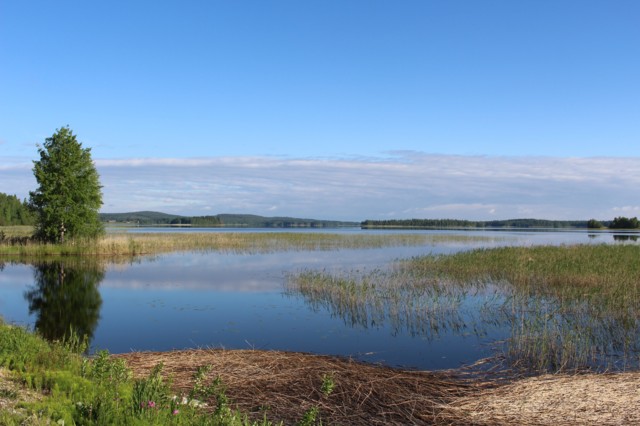 2017.6.25.%20Juhannus%20Kumpulassa%20%28