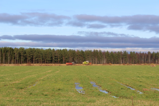 2017.10.17.%20Iisalmi%2C%20Rotimo%2C%20T