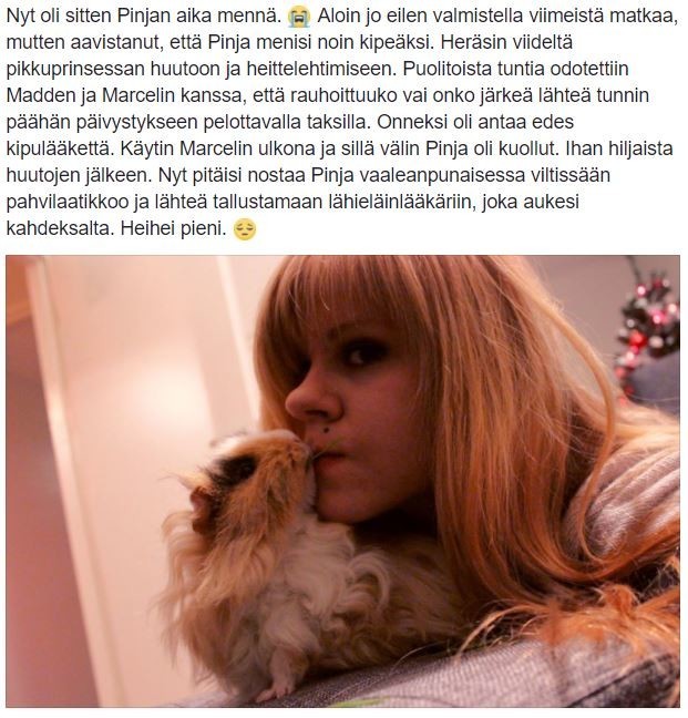 pinja.jpg