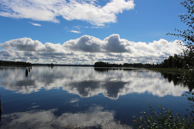 2016.8.14.%20Pohjoissaari%2C%20Koivuselk