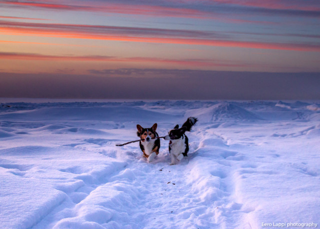 Auringonlasku%20Tauvossa-11.jpg