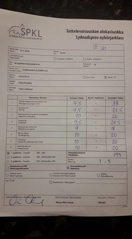 Ilo%20ALO-tokokoe%20Tornio%2027.1.2018.j