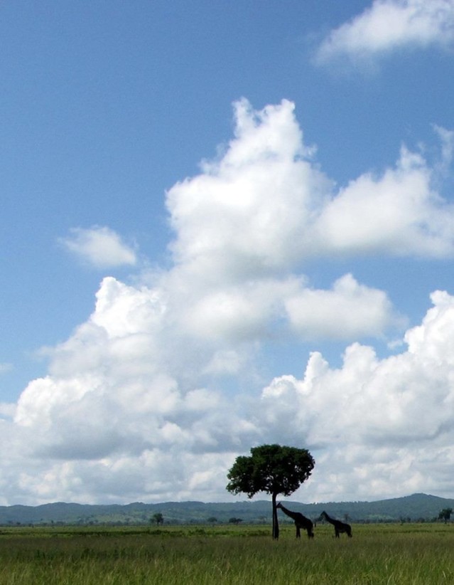 12717992_10208868139323005_1864526327164