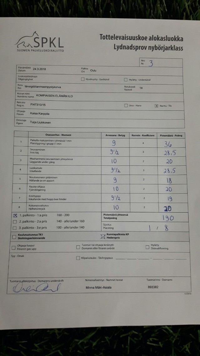 Ilo%20toko%20ALO1%20Oulu%2024.3.2018.jpg