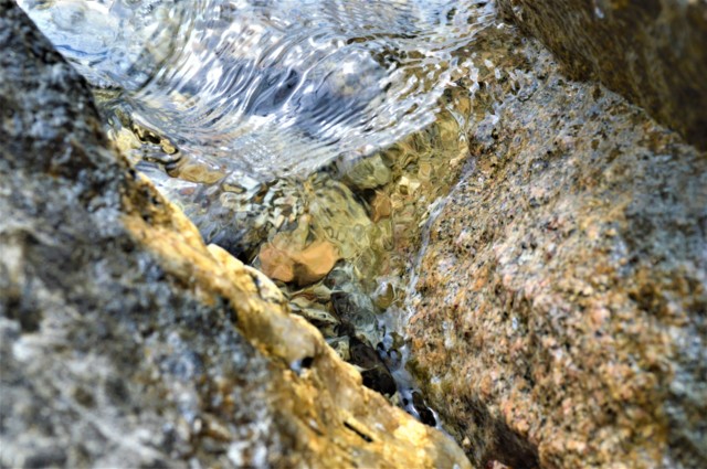 DSC_0025.jpg