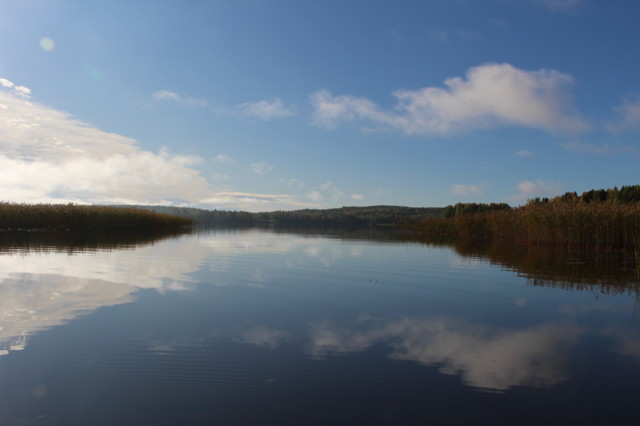 2018.10.2.%20Kumpulassa%20ja%20Pielavede