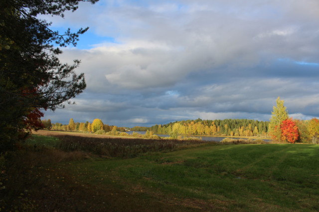 2018.10.2.%20Kumpulassa%20ja%20Pielavede