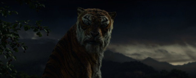 karamelli kissan pentu XXX videot