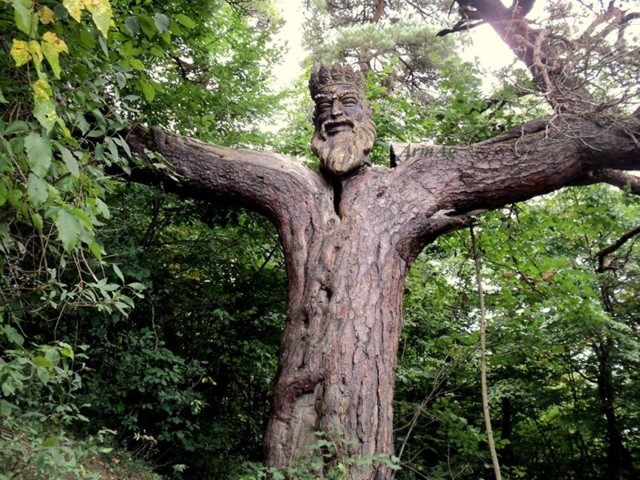King_of_the_forest_in_Dilijan.jpg