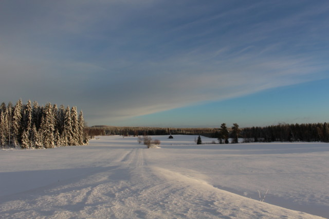 2019.1.11.%20Asevelikyl%C3%A4%2C%20Viita