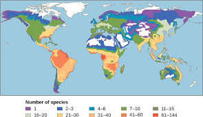 biodiversiteetti.jpg