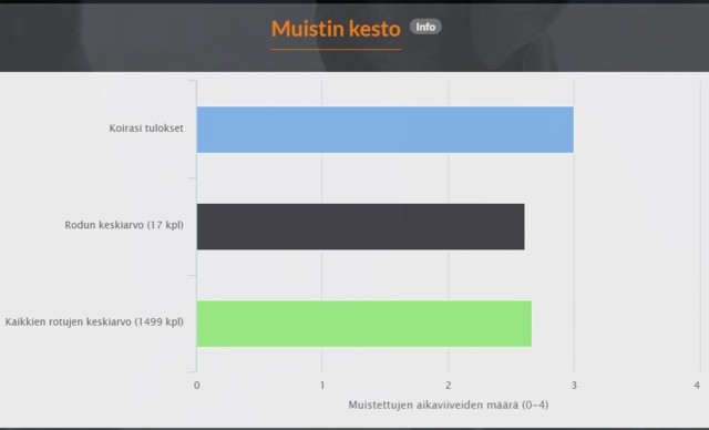 Muiston%20kesto.jpg