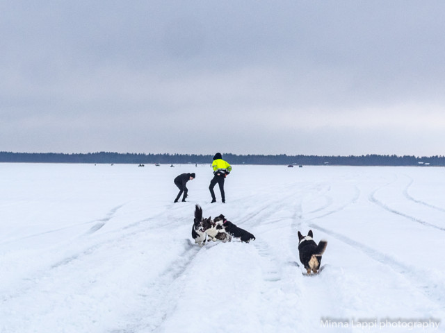 Ulkoilua%20porukalla-2.jpg