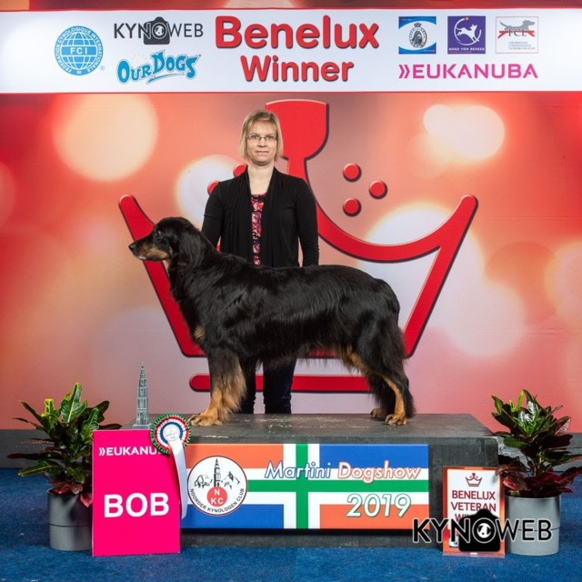 BEST_OF_BREED_354_LR_GRONINGEN_2019_KYNO