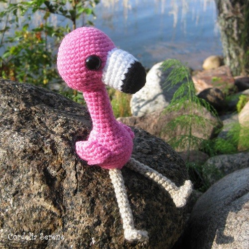flamingo2655.jpg