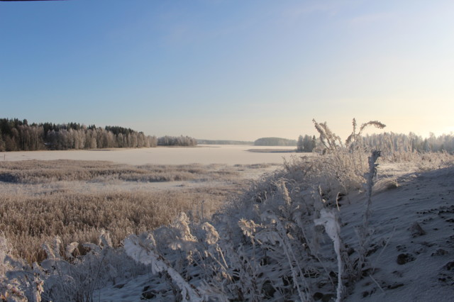 2019.11.5.%20Karkkikaupassa%20%2814%29.j