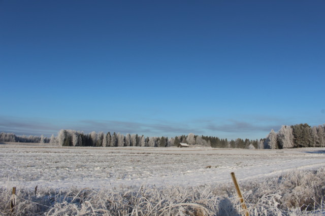 2019.11.5.%20Karkkikaupassa%20%2820%29.j