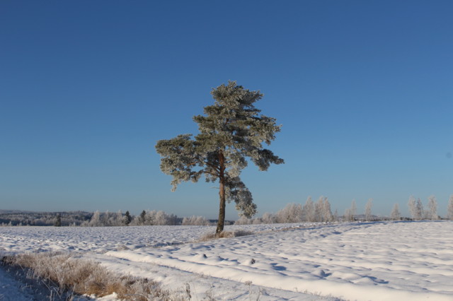 2019.11.5.%20Karkkikaupassa%20%2830%29.j