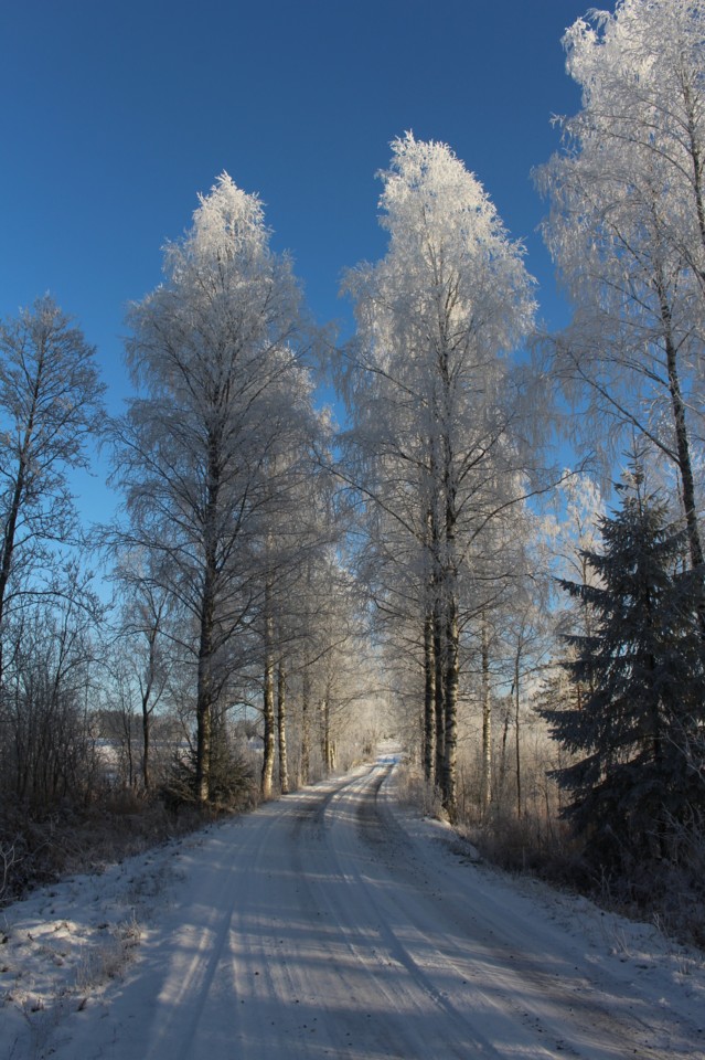 2019.11.5.%20Karkkikaupassa%20%2821%29%2