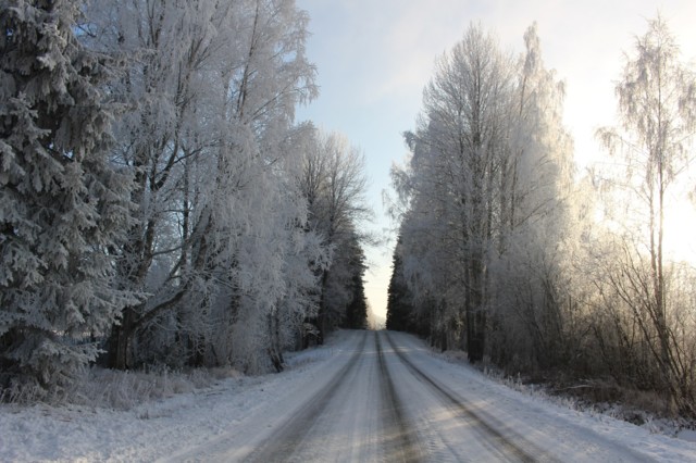 2019.11.5.%20Karkkikaupassa%20%2827%29%2