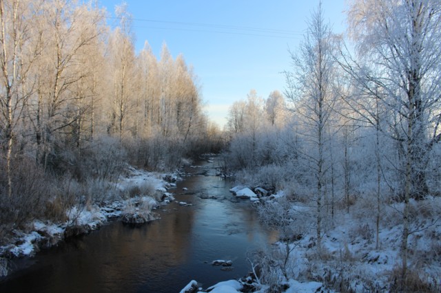 2019.11.5.%20Karkkikaupassa%20%2839%29%2