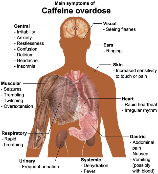 Main_symptoms_of_Caffeine_overdose.jpg