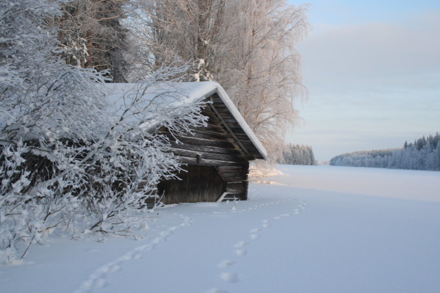 Lahela-tilan%20ranta%20Pohjois-Onkilahde