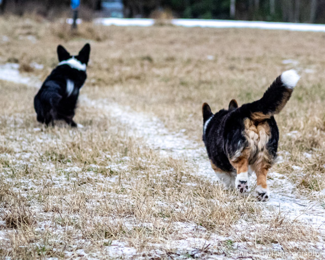 Frisbee%20taas%20mukana-6.jpg