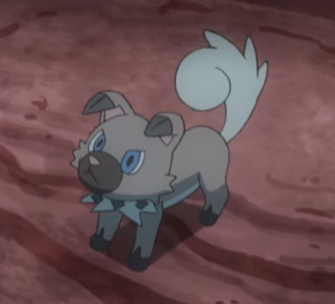 Rockruff.jpg