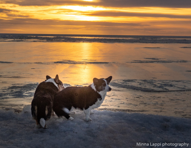 Auringonlaskua%20katsomassa-6.jpg