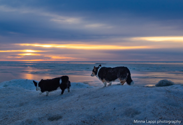 Auringonlaskua%20katsomassa-7.jpg