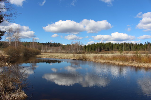 2020.5.13.%20Oravilahti%2C%20Jouni%20Kum