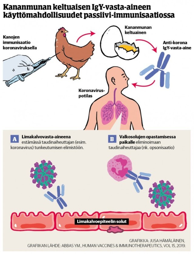 immunisaatio.jpg