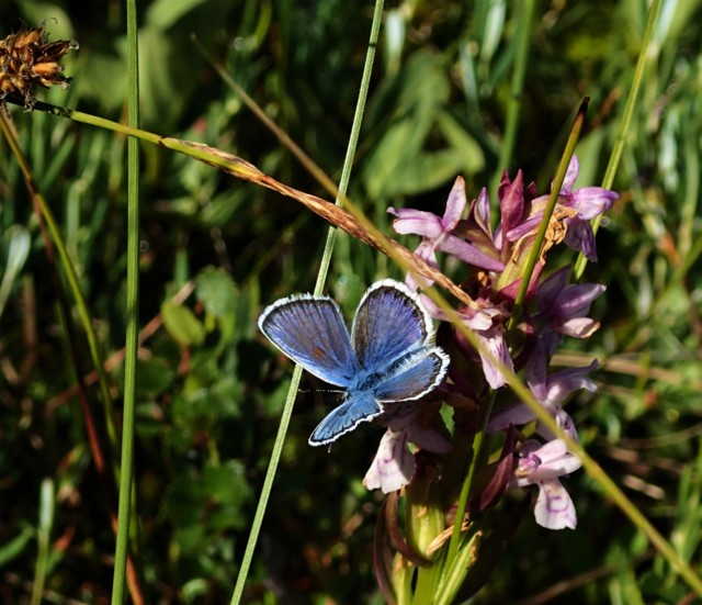 P7100010.jpg