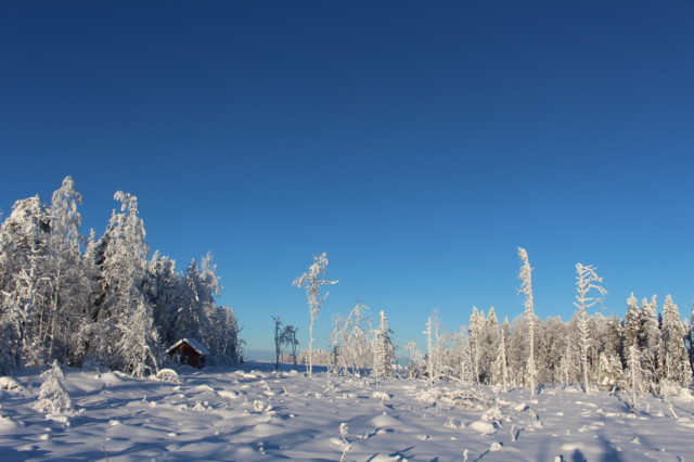 2021.2.13.%20Taivaanrannanmaalarina%20%2