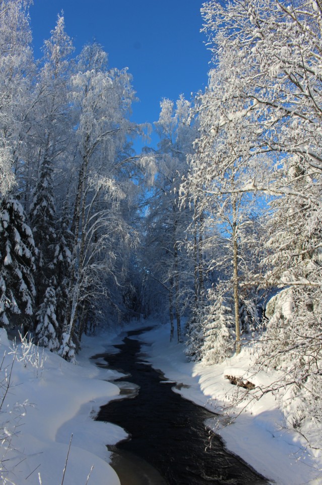 2021.2.13.%20Taivaanrannanmaalarina%20%2