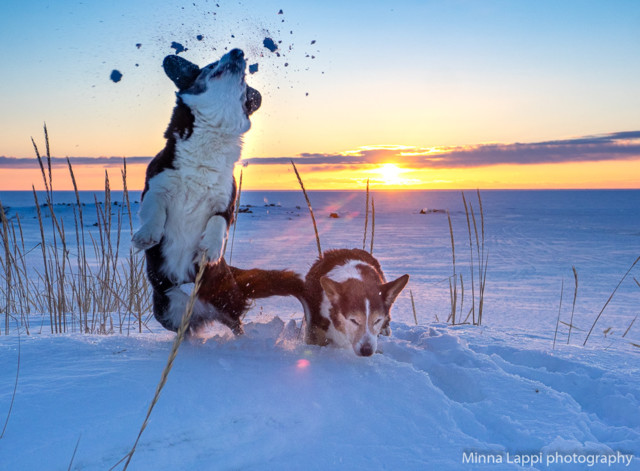 Auringonlasku%20Tauvos.jpg