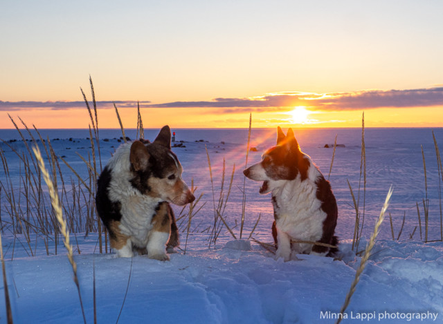 Auringonlasku%20Tauvos-2.jpg