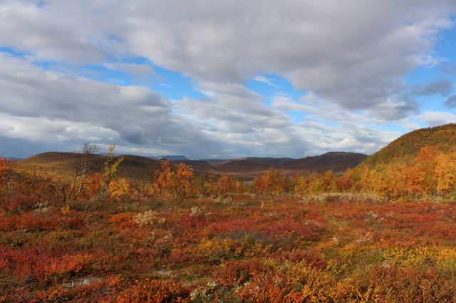 33.%20Ruskan-tuskaa.%20Leutsuvaara%2C%20