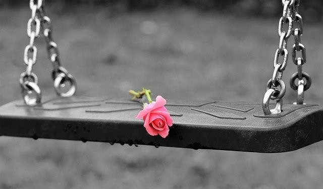 pink-rose-on-empty-swing-3656894_640.jpg