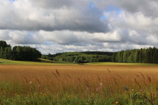 25.%20Elo-a.%20Lapinlahti.%20Elokuu%2C%2