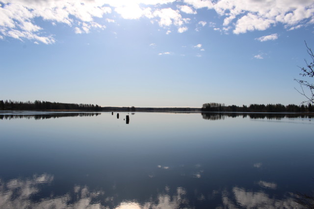 25.%20Peili.%20Suolahti.%20Toukokuu..jpg