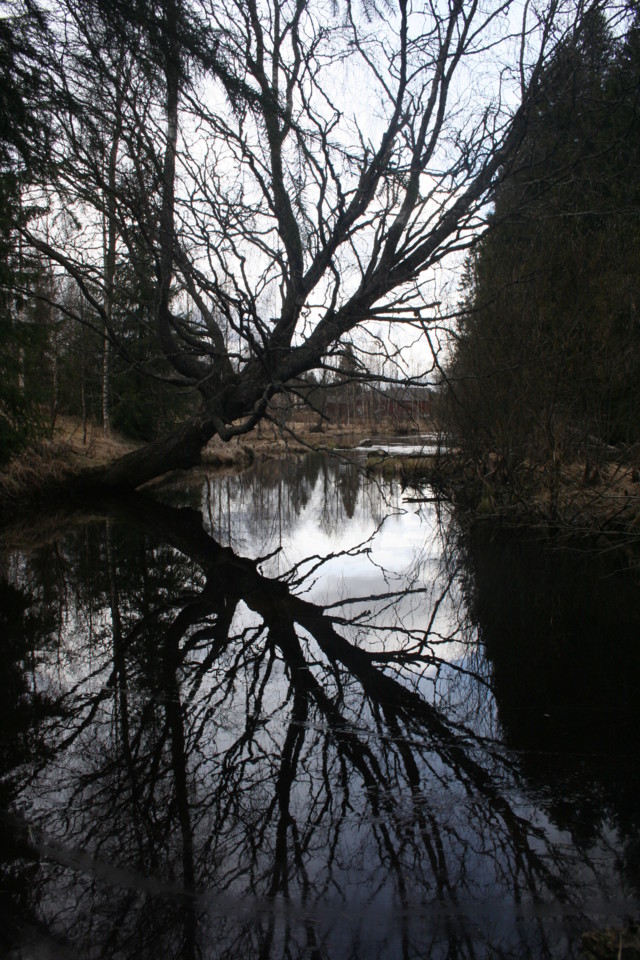 2014.5.4.%20Narvanlahti%20ja%20Aseveliky