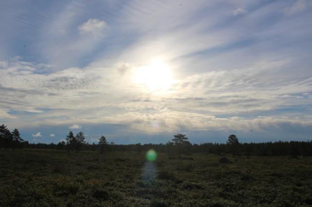 2022.7.11.%20Virpiniemi-Keskiniemi%20%28