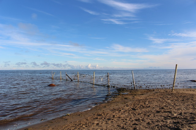 2022.7.11.%20Virpiniemi-Keskiniemi%20%28