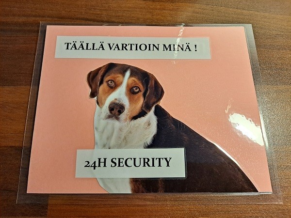 security1.jpg